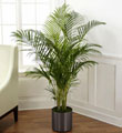 The FTD� Palm
