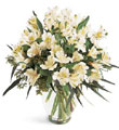 The FTD� Winter Elegance� Bouquet