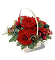 The FTD� Holiday Garden� Basket