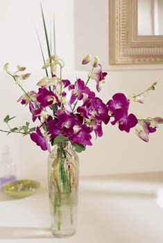 The FTD� Pacific Paradise� Arrangement