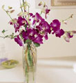 The FTD� Pacific Paradise� Arrangement