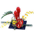 The FTD� Dynamite Duo � Arrangement