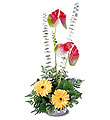 The FTD� Blazing Beauty� Bouquet