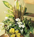 The FTD� Village Square� Planter