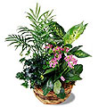 The FTD� French Garden