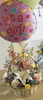 The FTD� Baby Girl Bouquet with Balloons