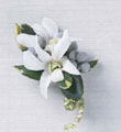 The FTD� Pure Heaven� Boutonniere
