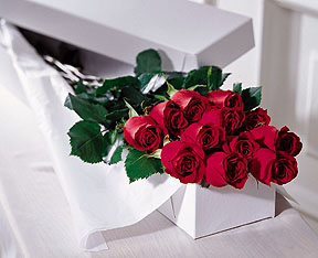 The FTD� One Dozen Boxed Roses