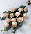 The FTD� Delightful Dozen�