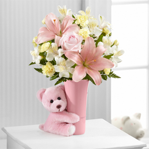 The FTD� Baby Girl Big Hug� Bouquet