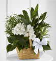 The FTD� Peace & Serenity� Dishgarden