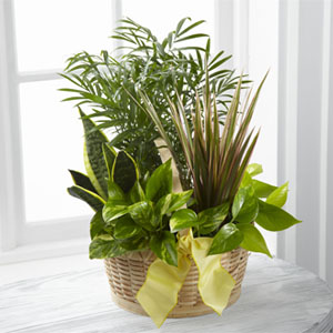 The FTD� French Garden� 