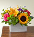 Best Day Box Bouquet