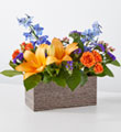 Radiant Citrus Box