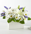 Beyond Blue Box Bouquet