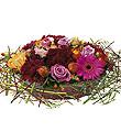 Arrangement of Cut Flowers