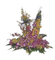 Arrangement of Orchids