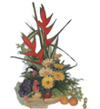 Fruits & Flowers