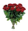 Bouquet of Roses