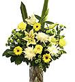 Bouquet Vanilla and Mint