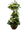 Royal Plant with Flowers