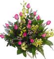 Arrangement of Cut Flowers