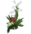 Arrangement of Cut Flowers