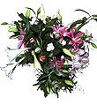 Bouquet of Mixed Cut Flowers
