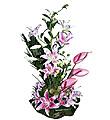 Arrangement of Cut Flowers