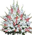Wedding Arrangement