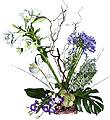 Arrangement of Cut Flowers