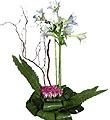Arrangement of Cut Flowers