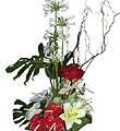Arrangement of Cut Flowers