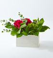 Wild Spirit Bouquet