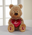 I Love U Plush Teddy Bear