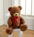 Give Me a Hug Giant Plush Bear