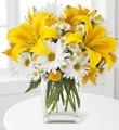 Always You Lily & Daisy Bouquet with FREE Vase
